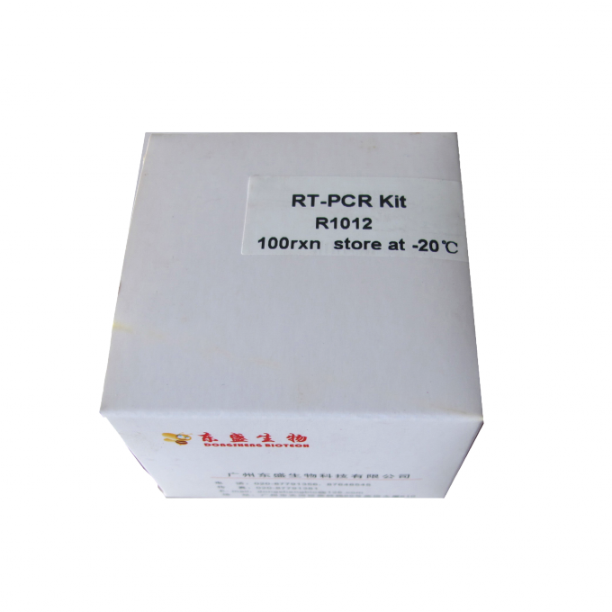 Rt-PCR de Transcriptase do reverso de M-Mlv