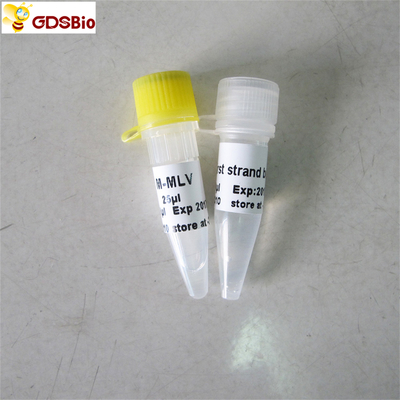 PCR R1041/R1042 do Rt dos reagentes do PCR de Transcriptase do reverso de M-Mlv