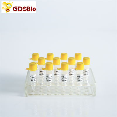 Mistura mestra verde do poder de GDSBio para o PCR com ROX P2101c P2102c
