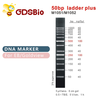 escada 50bp mais o marcador M1051 do ADN (50μg) /M1052 (50μg×5)