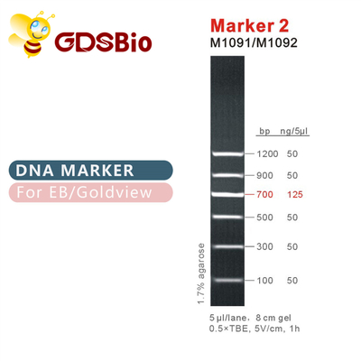 Escada M1091 do ADN do marcador 2 (50μg) /M1092 (50μg×5)