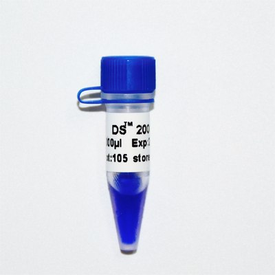 Escada 2000 do marcador do ADN do DS M1101 (50μg) /M1012 (50μg×5)