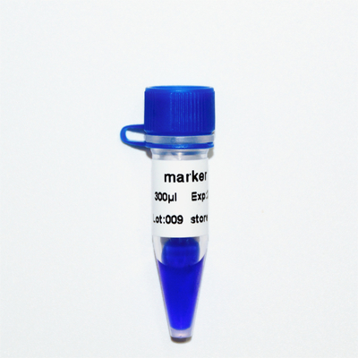 Escada M1141 do ADN do marcador 12 (50μg) /M1142 (5×50μg)