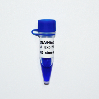 λDNA/escadaⅢ traseiro M1201 do marcador do ADN (50μg) /M1202 (5×50μg)