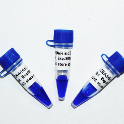 λDNA/escadaⅢ traseiro M1201 do marcador do ADN (50μg) /M1202 (5×50μg)