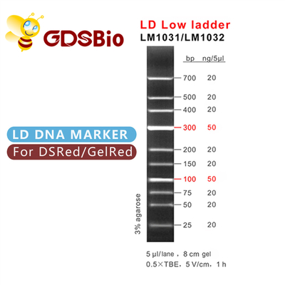 Marcador LM1031 do ADN da escada do LD baixo (60 preparações) /LM1032 (60 preps×3)