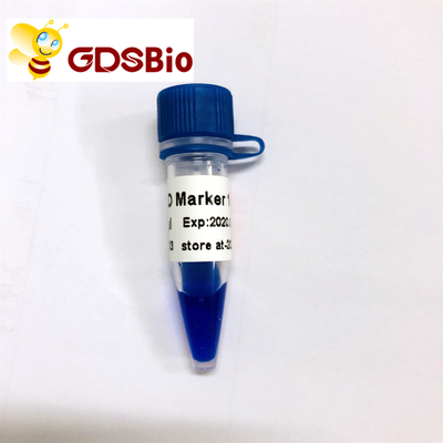 Eletroforese azul do marcador do ADN do marcador 1 do LD da aparência