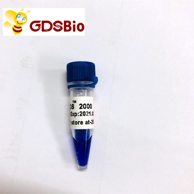 Eletroforese 2000 do gel do marcador do ADN do LD DS dos reagentes da pureza alta 60 preparações