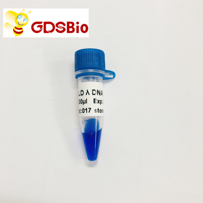 60 reagentes da pureza alta da eletroforese do marcador do ADN das preparações