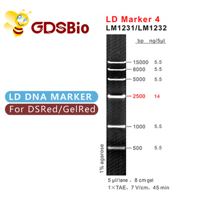 Escada LM1231 do ADN do marcador 4 do LD (50 preparações) /LM1232 (50 preps×5)
