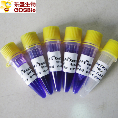 Do RNA mestre do ADN do PCR Kit For da mistura do PCR do FS detecção ácida nucleica P3072 1ml×5