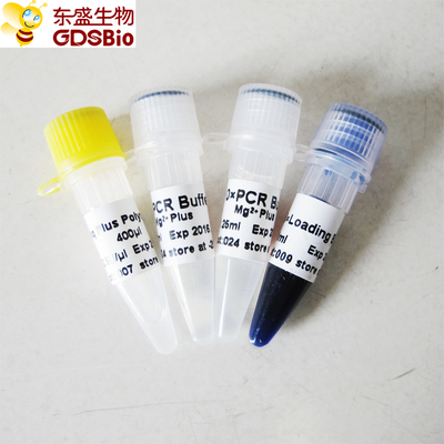 Amortecedor azul Taq mais a polimerase de ADN para PCR P1031 P1032 P1033 P1034