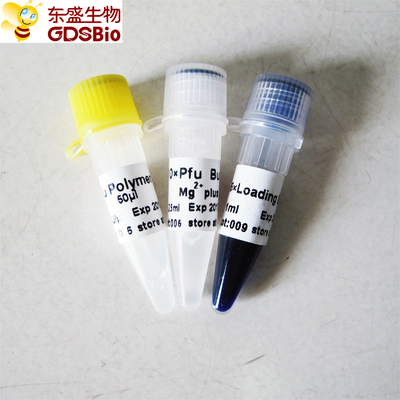 Polimerase de ADN de Pfu para PCR P1021 P1022 P1023 P1024