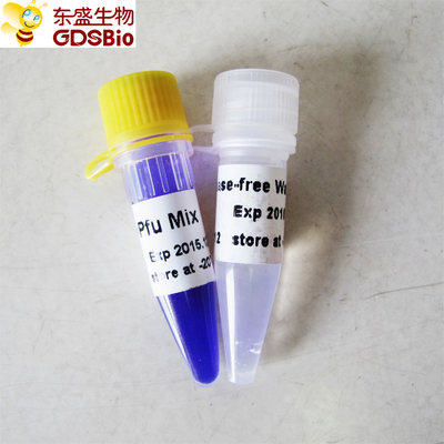 Mistura mestra ácida nucleica P2021 1ml do PCR de Pfu da detecção do PCR do RNA do ADN