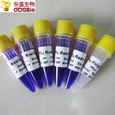 Mistura mestra ácida nucleica P3022 1ml×5 de Pfu da detecção do PCR