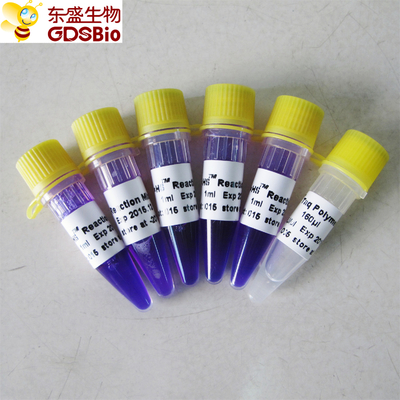 detecção mestra P3082 do PCR da mistura HS Kit For Nucleic Acid do PCR 1ml×5