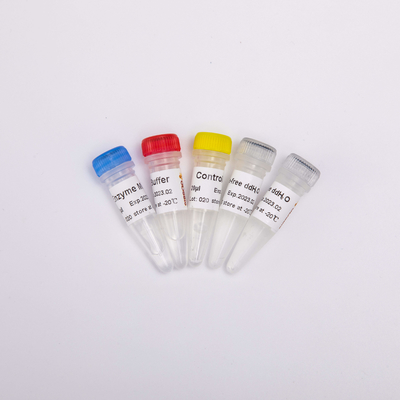A mistura do PCR do RT para QPCR Premixed os reagentes reversos R1031 do PCR de Transcriptase