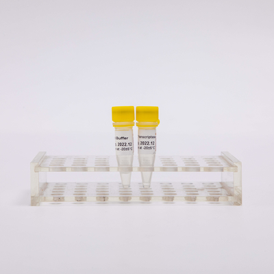 Reverso Transcriptase R3001 2000U R3002 10000U do PCR do Rt do ouro