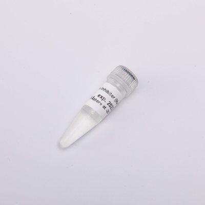 Inibidor incolor R4001 Murine 20000U do RNase da aparência