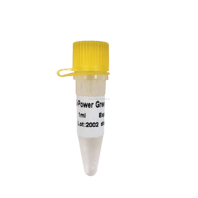 Eficiência alta verde da amplificação da mistura P2101 do reagente do PCR do poder