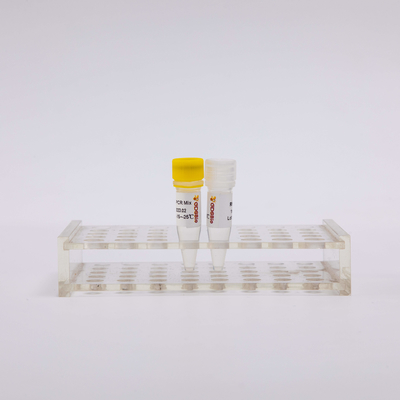 50 reagentes do PCR de Transcriptase do reverso de Rxn 2X uma mistura P1001 do mestre da etapa
