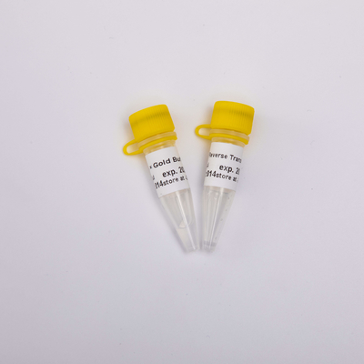 Reagentes R3001 2000U do PCR de Transcriptase do reverso do ouro