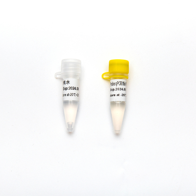 Sinal de adição multiplex direto concentrado da mistura do reagente do PCR da ponta de prova 2× QPCR do Premix com UDG