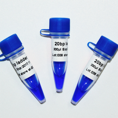 aparência azul de GDSBio da eletroforese do marcador do ADN da escada 20bp
