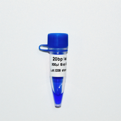 aparência azul de GDSBio da eletroforese do marcador do ADN da escada 20bp