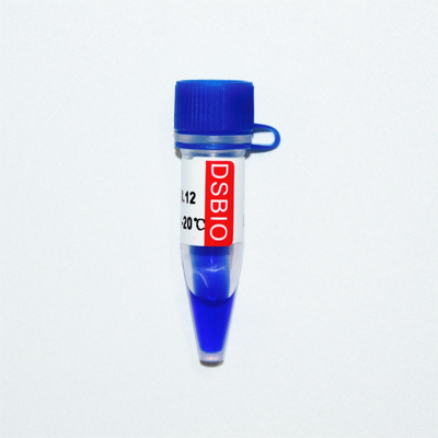 Aparência azul da eletroforese do gel do marcador do ADN do marcador 3 de GDSBio