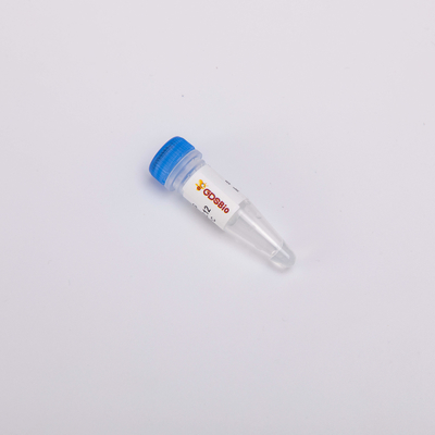 Mistura mestra Labile do calor para enzima altamente eficaz da contaminação do PCR UDG do tempo real a anti