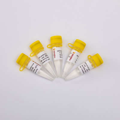 Jogo ácido nucleico 2019-NCoV-AbEN Pseudovirus V1001 V1002 V1003 da purificação de GDSBio