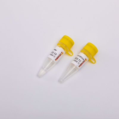 aparência incolor do PCR R3002 de Transcriptase do reverso do ouro 10000U