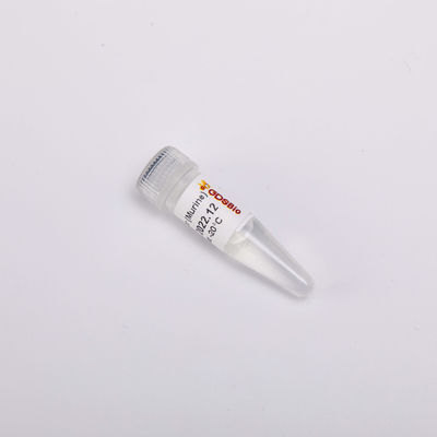 aparência R4001 incolor Murine do inibidor do RNase 20000U