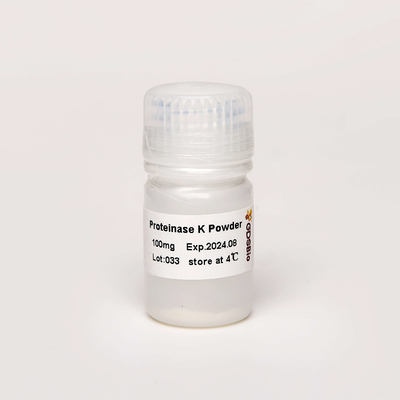 A protease K da categoria da biologia molecular pulveriza N9016 100mg