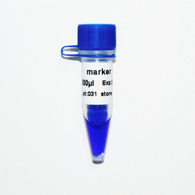 Aparência azul da eletroforese 400bp 50ug do marcador do ADN do marcador 1