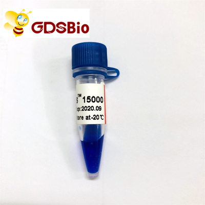Eletroforese do marcador do ADN do DS LD 15000bp 15kb 50 preparações