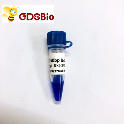 escada GDSBio do marcador da eletroforese do gel do ADN 50bp