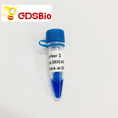 Eletroforese do marcador do ADN do marcador 3 de GDSBio LD 60 preparações