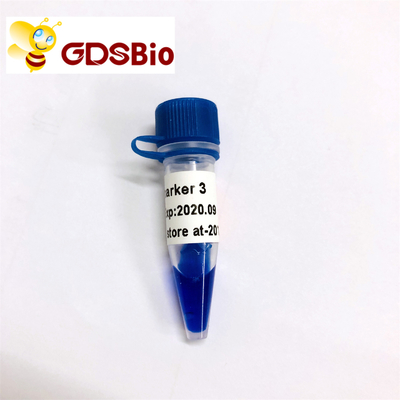 Eletroforese do marcador do ADN do marcador 3 de GDSBio LD 60 preparações