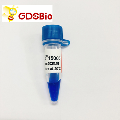 Eletroforese do marcador do ADN do LD DS 15000bp 15kb 50 preparações