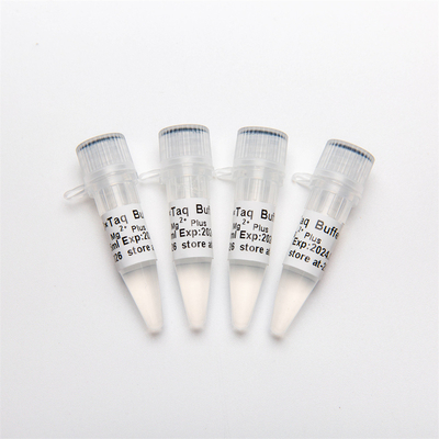 Amortecedor do PCR 10× (Mg2+ mais) P5011 1.25ml×4