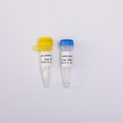 Aqueça a biologia molecular da anti enzima Labile da contaminação UDG para QPCR R5001 1 U/μL