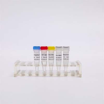 Mistura da síntese RT-PCR da costa CDNA de R1031 GDSBio a primeira para QPCR Premixed reagentes do PCR de Transcriptase do reverso do RNA