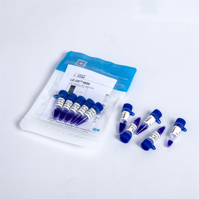 GDSBio Gel Pré Coloração LD DS 5000 Marcador de DNA Eletroforese Azul LM1111 LM1112