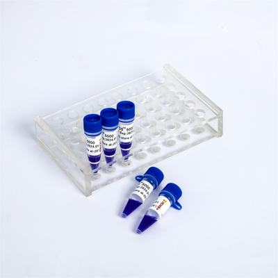 GDSBio Gel Pré Coloração LD DS 5000 Marcador de DNA Eletroforese Azul LM1111 LM1112