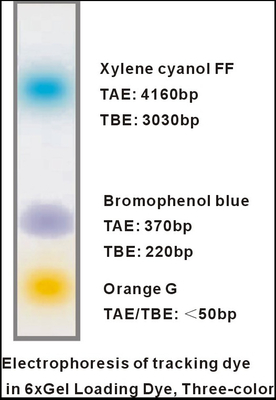 6× coagulam o EDTA 1mlx5 do amortecedor da eletroforese do ADN da cor da tintura três da carga