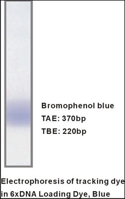 Reagentes específicos de carregamento da eletroforese do ADN do amortecedor do gel de M9051 1mlx5 6×