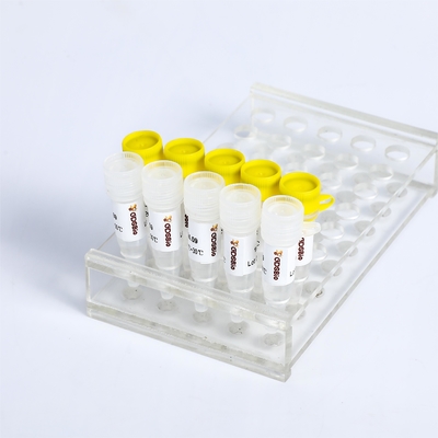 Detetação de KASP PCR Master Mix P4021 P4022