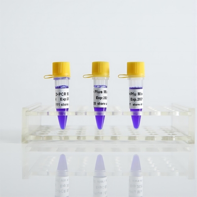 Taq Mix II P2011b PCR Master Mix especificidade de alta sensibilidade